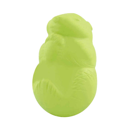 Jolly Pets Durable Dog Chew Toy in Bright Green for Engaging Playtime and Chewing Fun