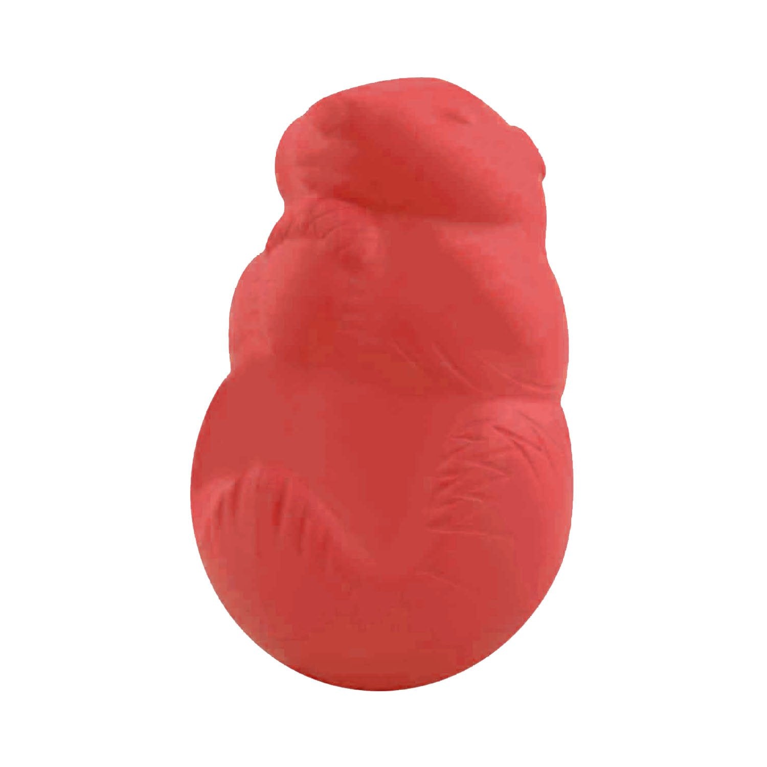 Jolly Pets durable dog chew toy designed for tough chewing and interactive play