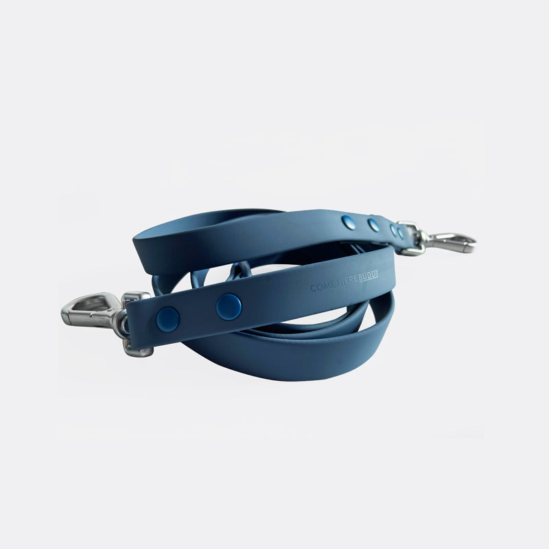 Come Here Buddy durable dog leash in blue designed for strength and comfort during walks