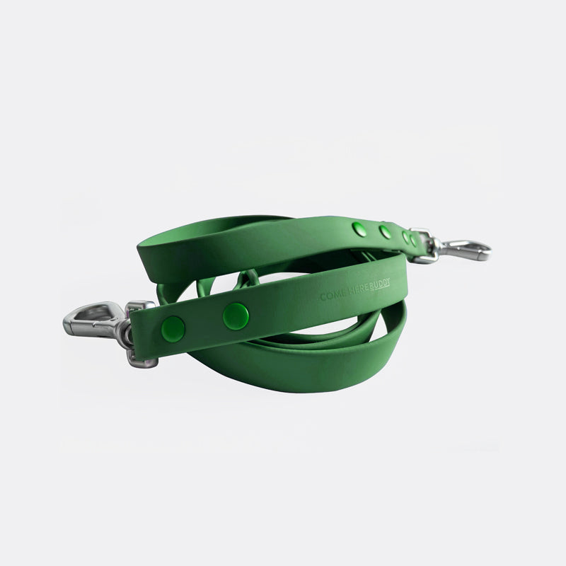 Come Here Buddy durable dog leash in green with sturdy clips for safe pet walks