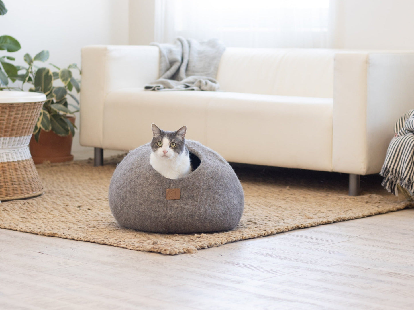 Cat sitting inside an earth brown pet cave on a rug in a modern living room