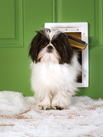 PetSafe Extreme Weather Pet Door - Small PawCounter.com