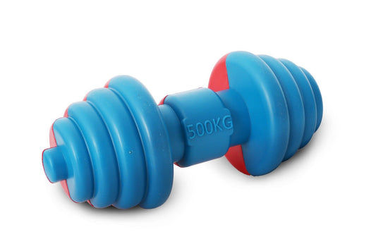 Blue and red floating dog chew toy shaped like a dumbbell with durable textured design