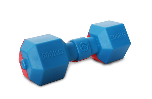 Blue and red floating dog toy shaped like a dumbbell with 500KG markings for water play