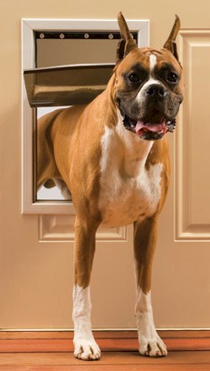 PetSafe Freedom Pet Door - Large PawCounter.com