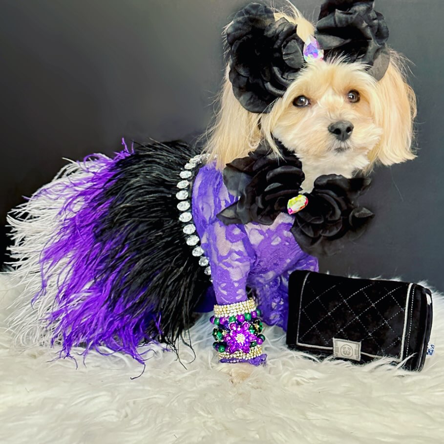 CHEWNEL PLUSH DOG TOY