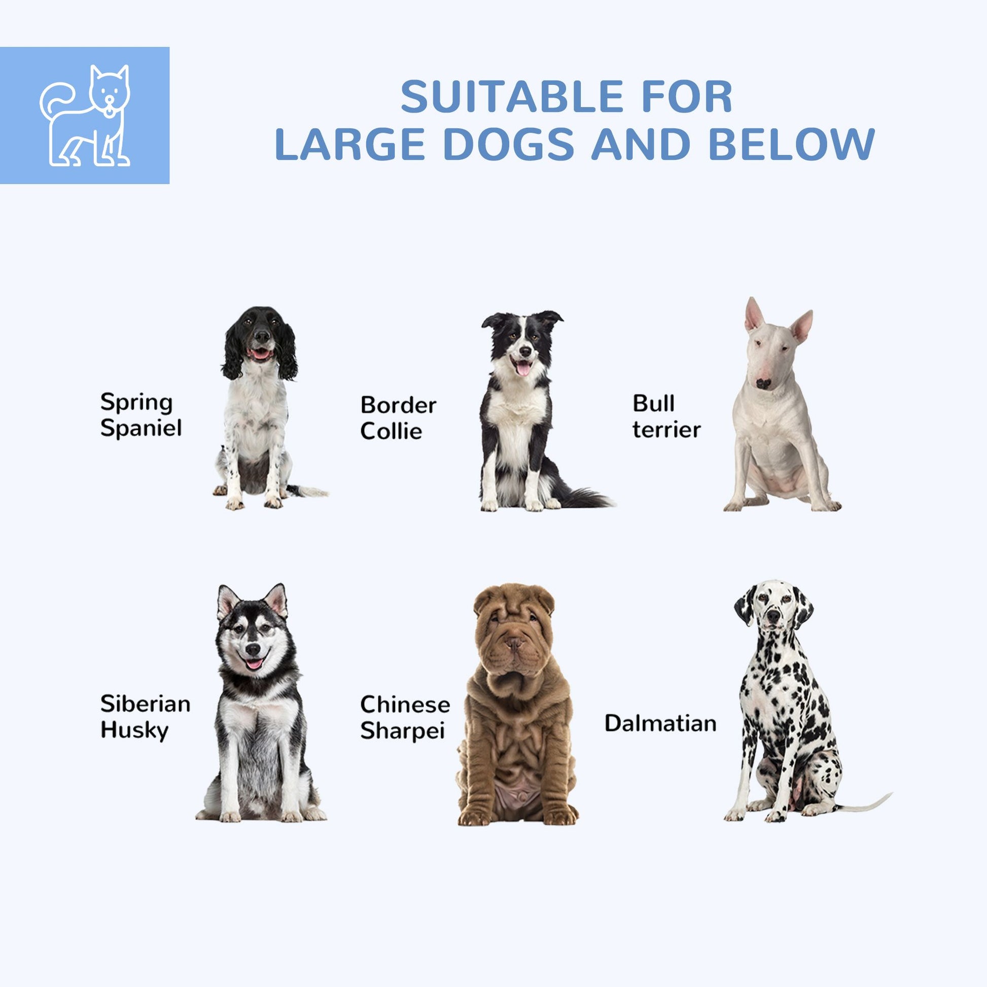 Various dog breeds suitable for outdoor dog run for large dogs including Spring Spaniel, Border Collie, Bull Terrier, Siberian Husky, Chinese Sharpei, and Dalmatian