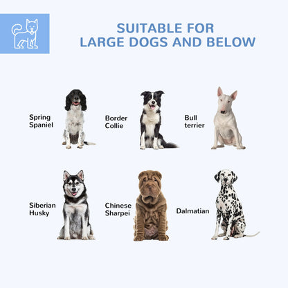 Various dog breeds suitable for outdoor dog run for large dogs including Spring Spaniel, Border Collie, Bull Terrier, Siberian Husky, Chinese Sharpei, and Dalmatian