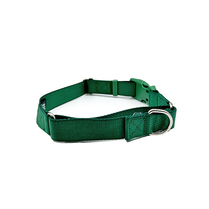 Martingale Dog Collar