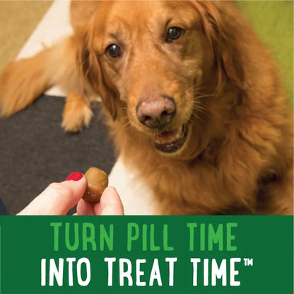 Dog enjoying Greenies peanut butter pill pockets to make pill time a treat