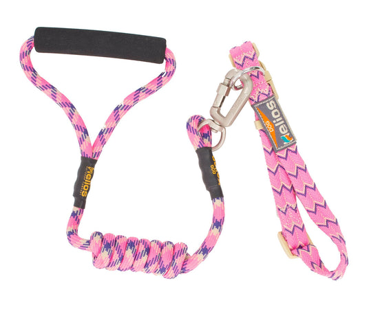 Pink and purple 3M reflective pet leash with padded handle and metal clasp for secure pet walking