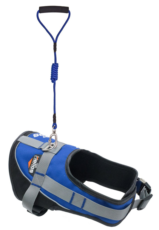 Blue reflective dog harness and leash set with padded straps and secure metal clips for safe walking