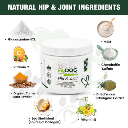 Sacred Steps Hip & Joint Support Chews