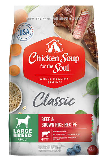 Chicken Soup Adult Beef and Brown Rice Large Breed Dog Food (28lb)