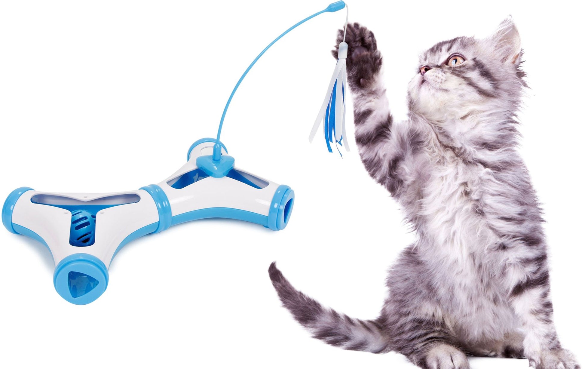 Gray tabby kitten playing with a blue and white interactive cat toy tunnel with dangling feather teaser
