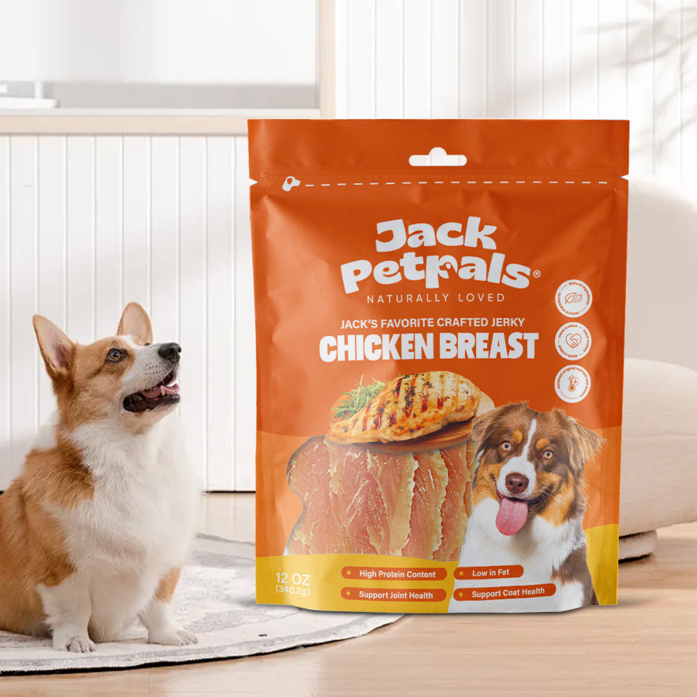 Jack Petrals chicken breast dog treats in resealable orange bag with happy dog and corgi in background