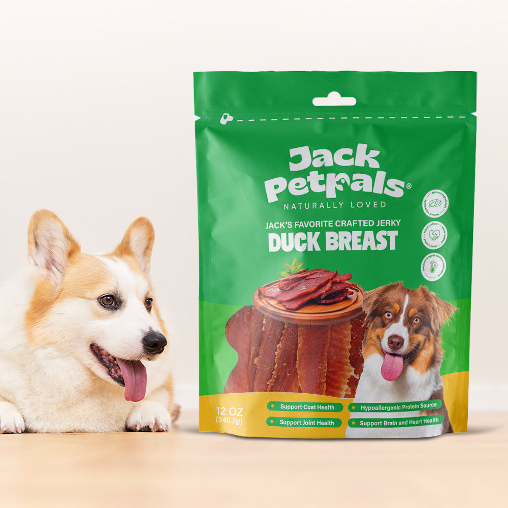 Jack Petrails duck breast dog treats in green bag with happy dog beside it from American Pet Supplies