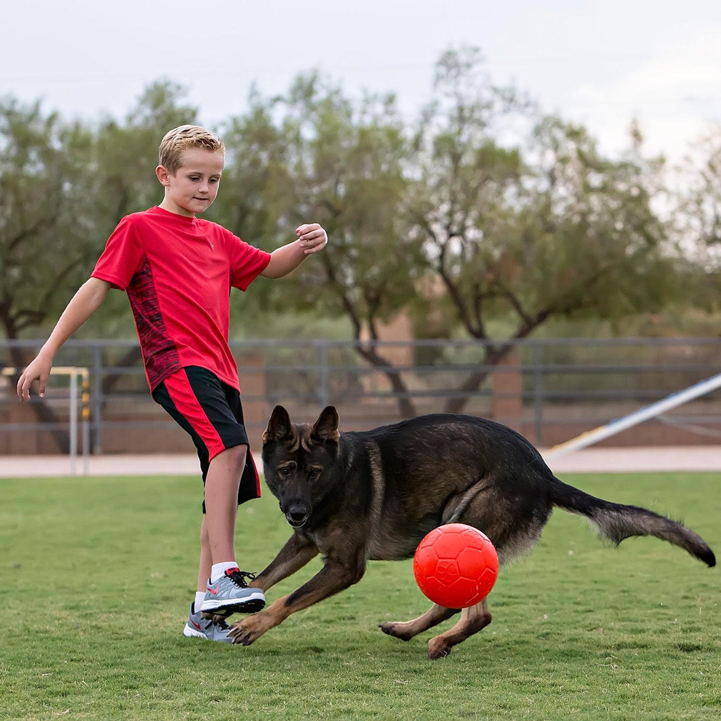 Jolly Pets dog soccer ball being chased by a dog while a child plays outdoors