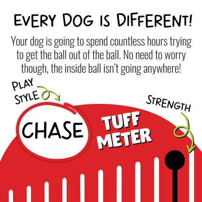 Jolly Pets dog teaser ball toy designed to engage dogs with a removable inner ball for hours of entertainment