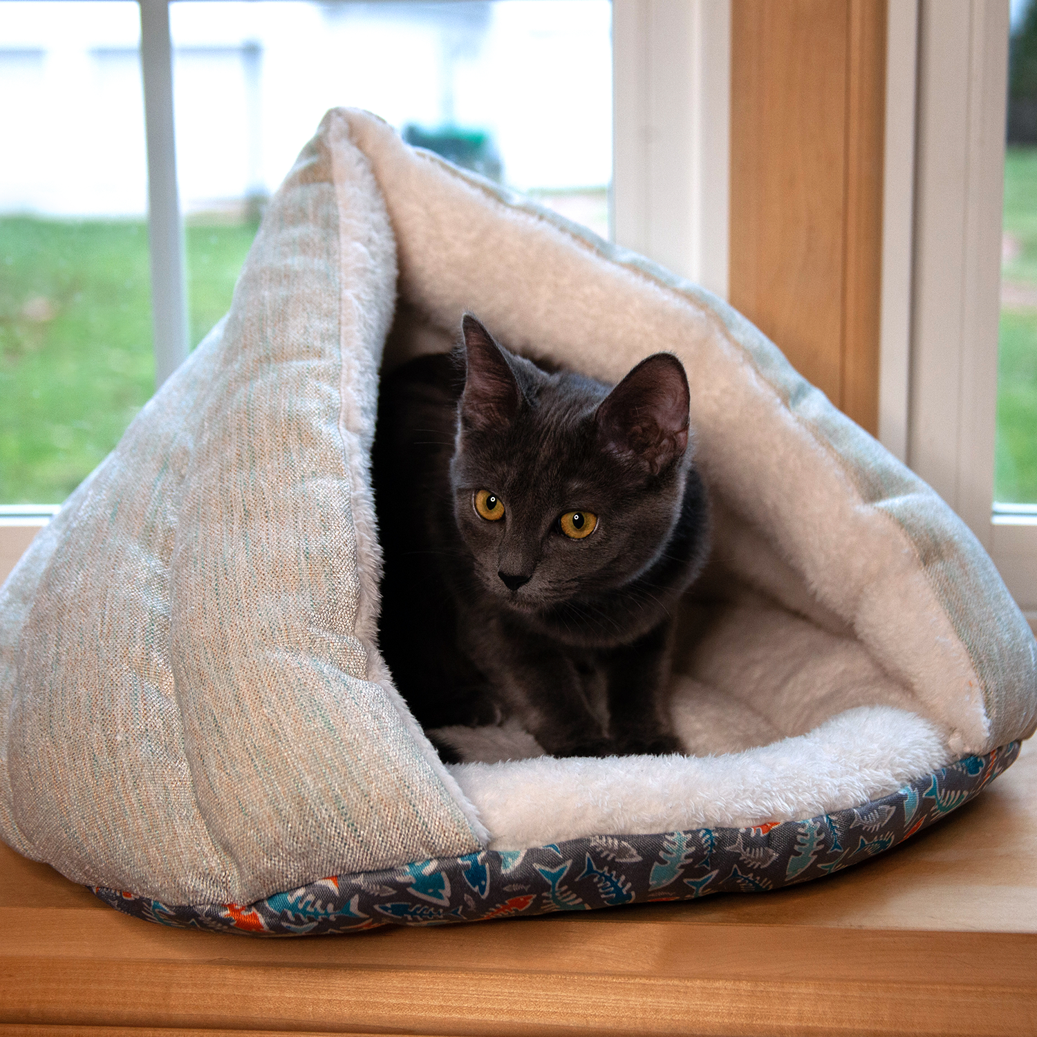 Cozy Kitty Kasa Hut Cat Bed by Jolly Pets with soft lining for ultimate comfort