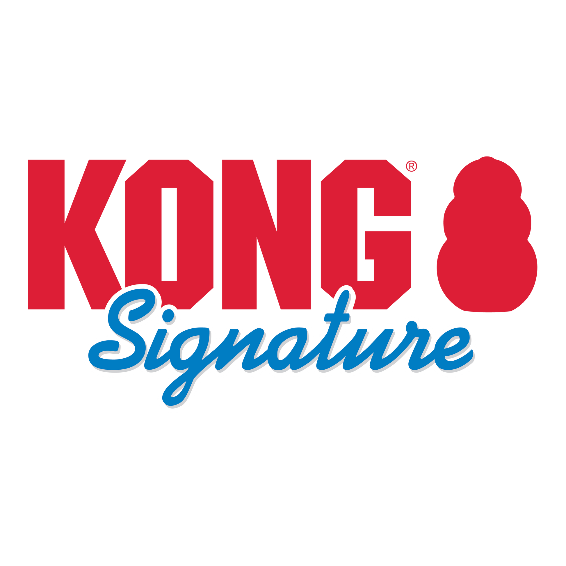 Kong Signature Stick dog toy logo in red and blue from The Family Pet