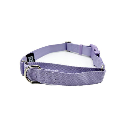 Martingale Dog Collar