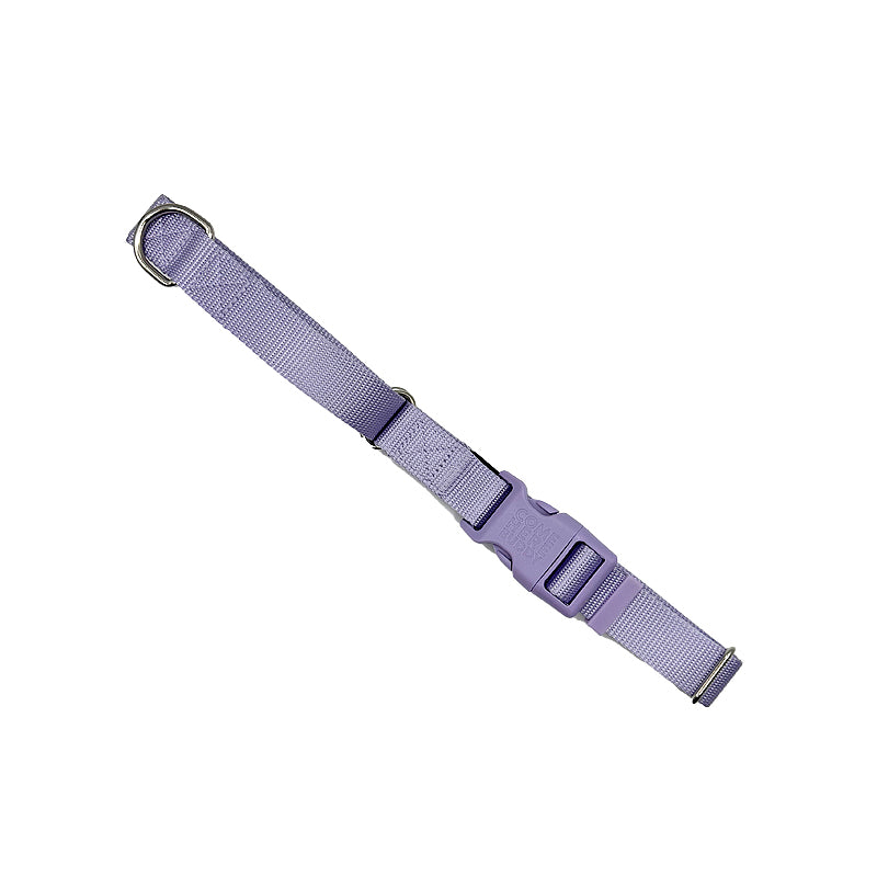 Martingale Dog Collar