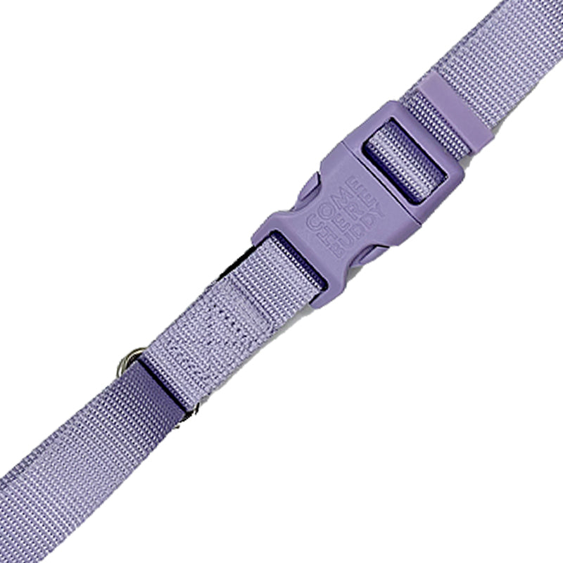 Martingale Dog Collar