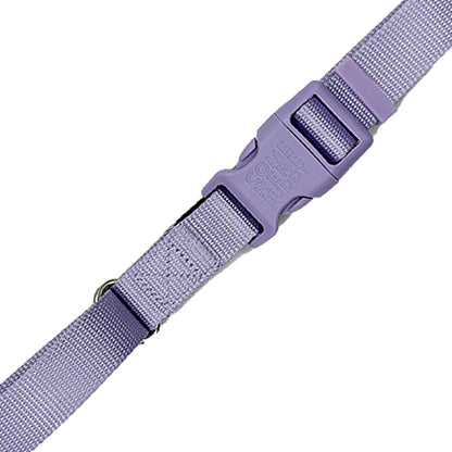 Martingale Dog Collar