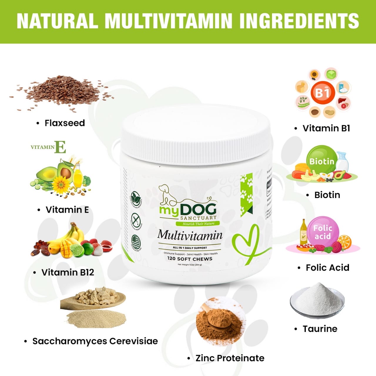 Sanctuary Strength Daily Multivitamin Chews