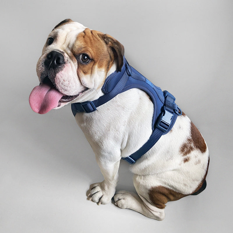 Dog Harness for Small and Large Dogs