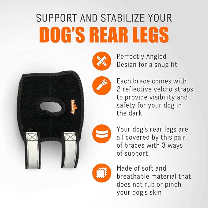 NeoAlly 3-in-1 Short Rear Leg Hock Brace for Smaller Dogs with Rigid and Spring Inserts | Safety Reflective Straps [Short Version] (Pair)