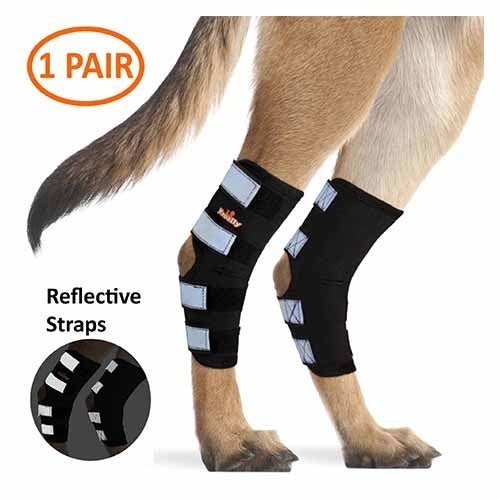 NeoAlly Dog Rear Leg Hock Brace with Safety Reflective Straps for Large Dogs [Long Version]