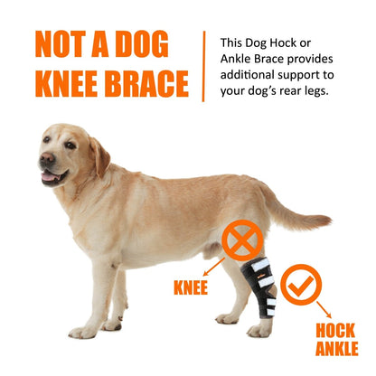 NeoAlly Dog Rear Leg Hock Brace with Safety Reflective Straps for Large Dogs [Long Version]