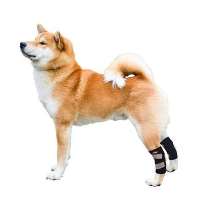 NeoAlly Dog Rear Leg Hock Brace with Safety Reflective Straps for Small Dogs [Short Version]