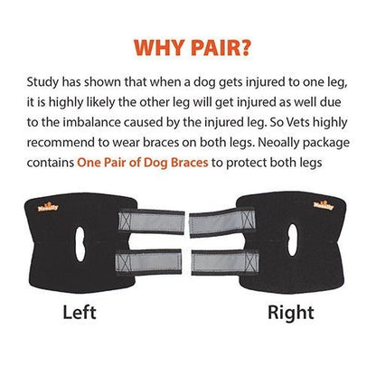 NeoAlly Dog Rear Leg Hock Brace with Safety Reflective Straps for Small Dogs [Short Version]
