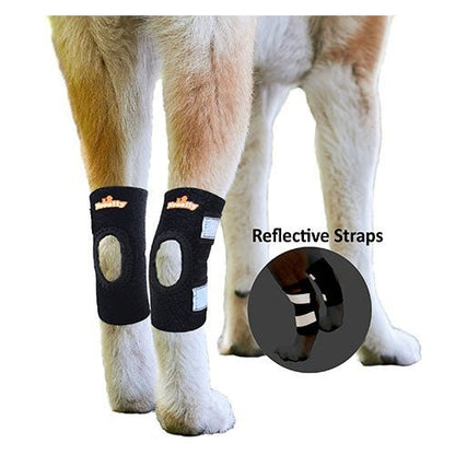 NeoAlly Dog Rear Leg Hock Brace with Safety Reflective Straps for Small Dogs [Short Version]