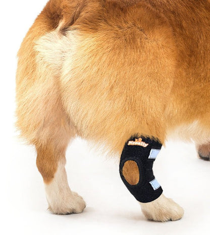 NeoAlly Dog Rear Leg Hock Brace with Safety Reflective Straps for Small Dogs [Short Version]