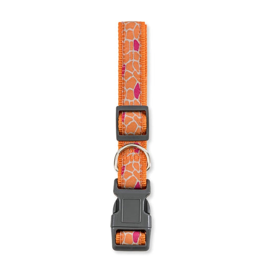 American Pet Supplies nylon dog collar with giraffe print featuring adjustable buckle and metal ring