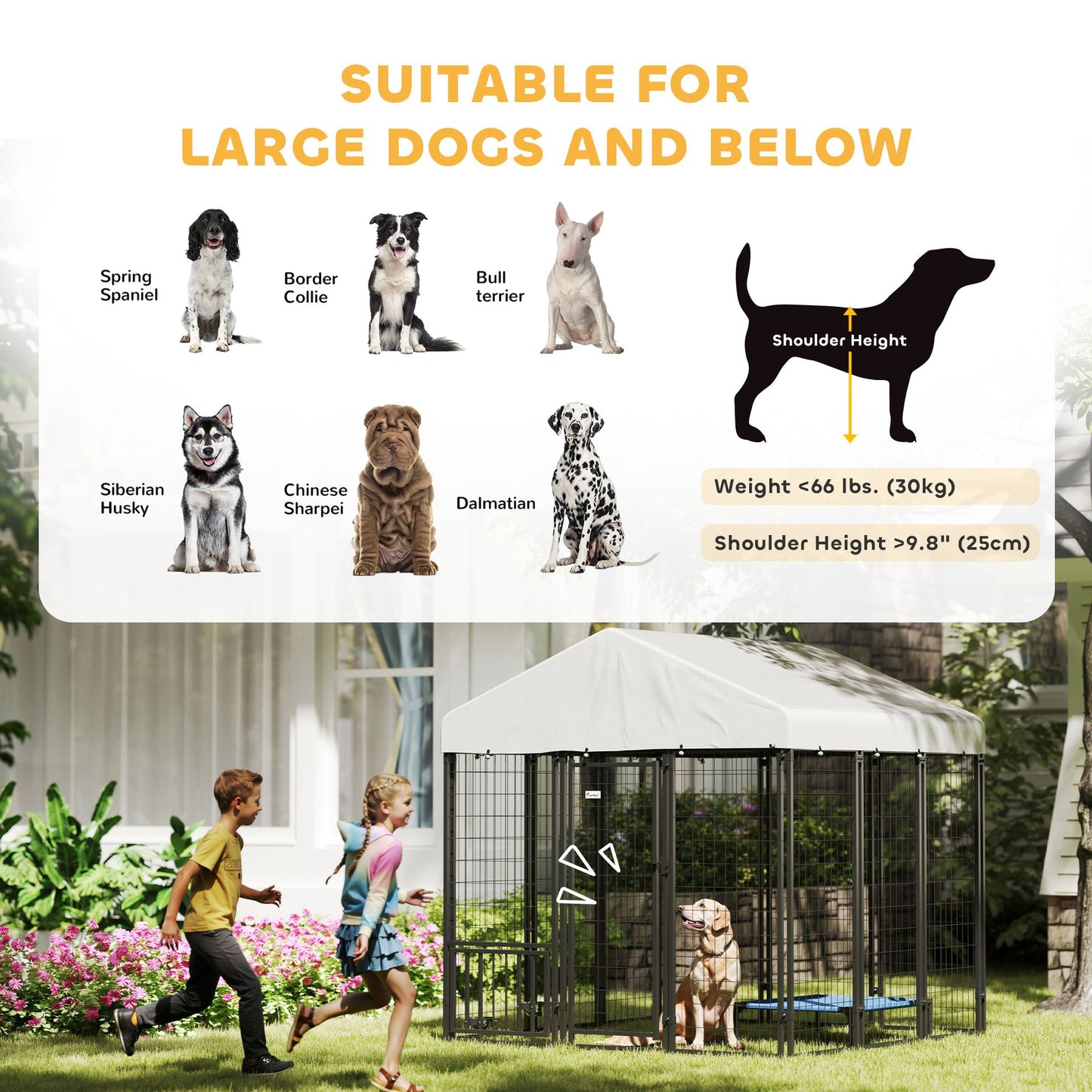 Outdoor dog kennel with roof designed for large dogs, featuring interactive kids and a safe environment
