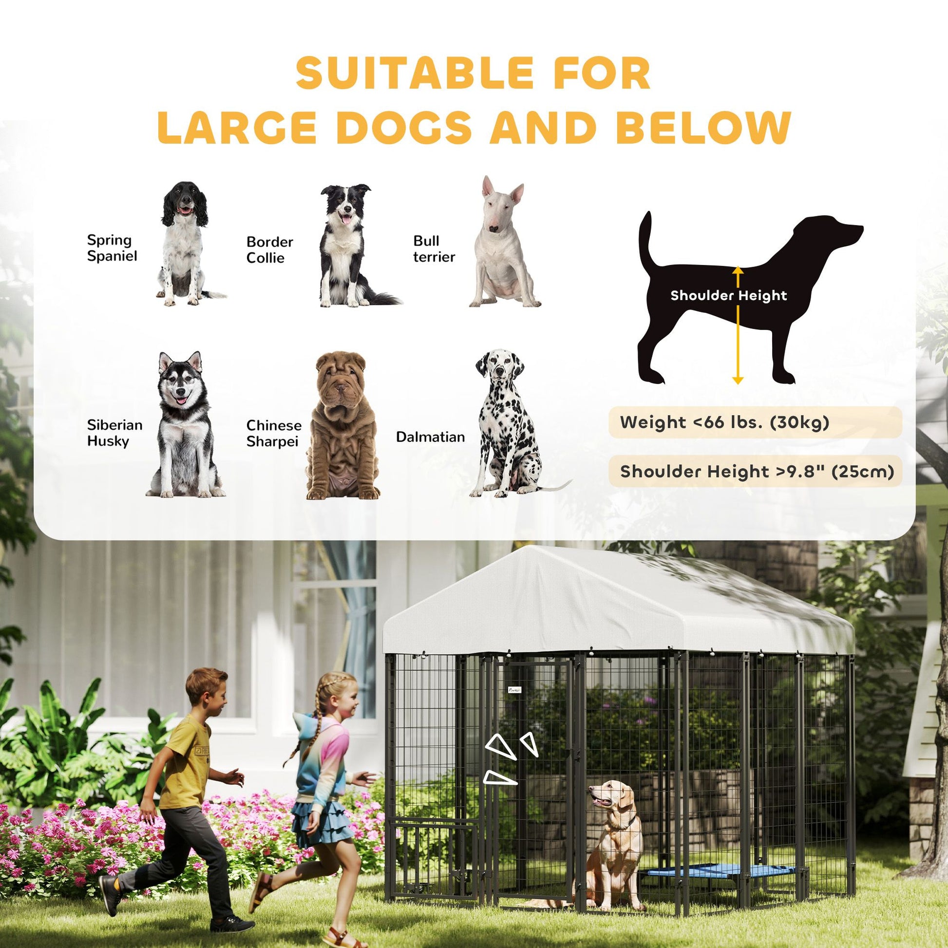 Outdoor dog kennel with roof designed for large dogs, featuring interactive kids and a safe environment