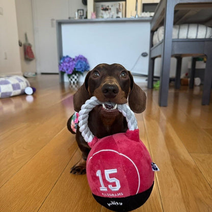 KETTLEBELL TUG ROPE INTERACTIVE TOY