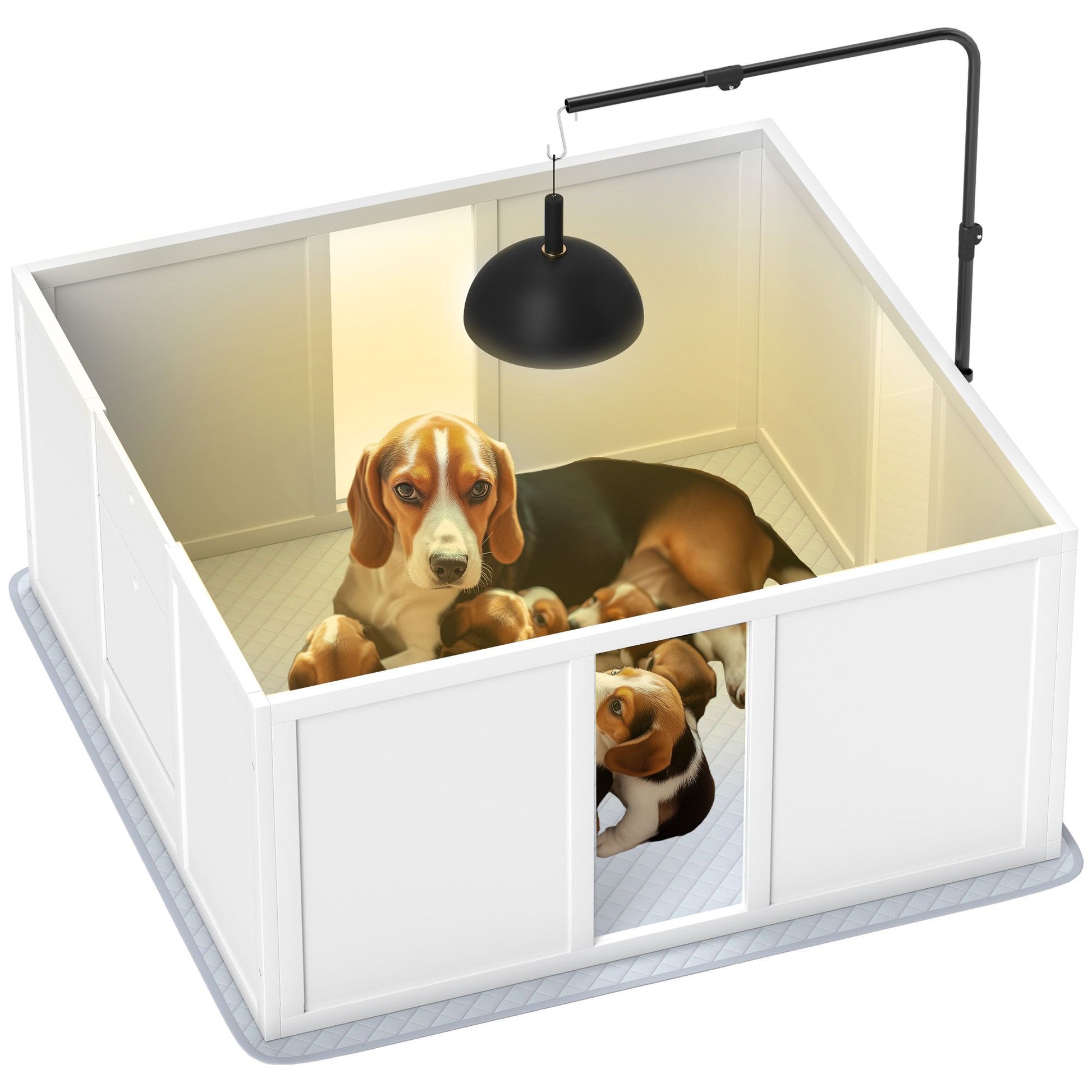 Whelping box for dogs with mother beagle and puppies under a heat lamp in a white enclosed space