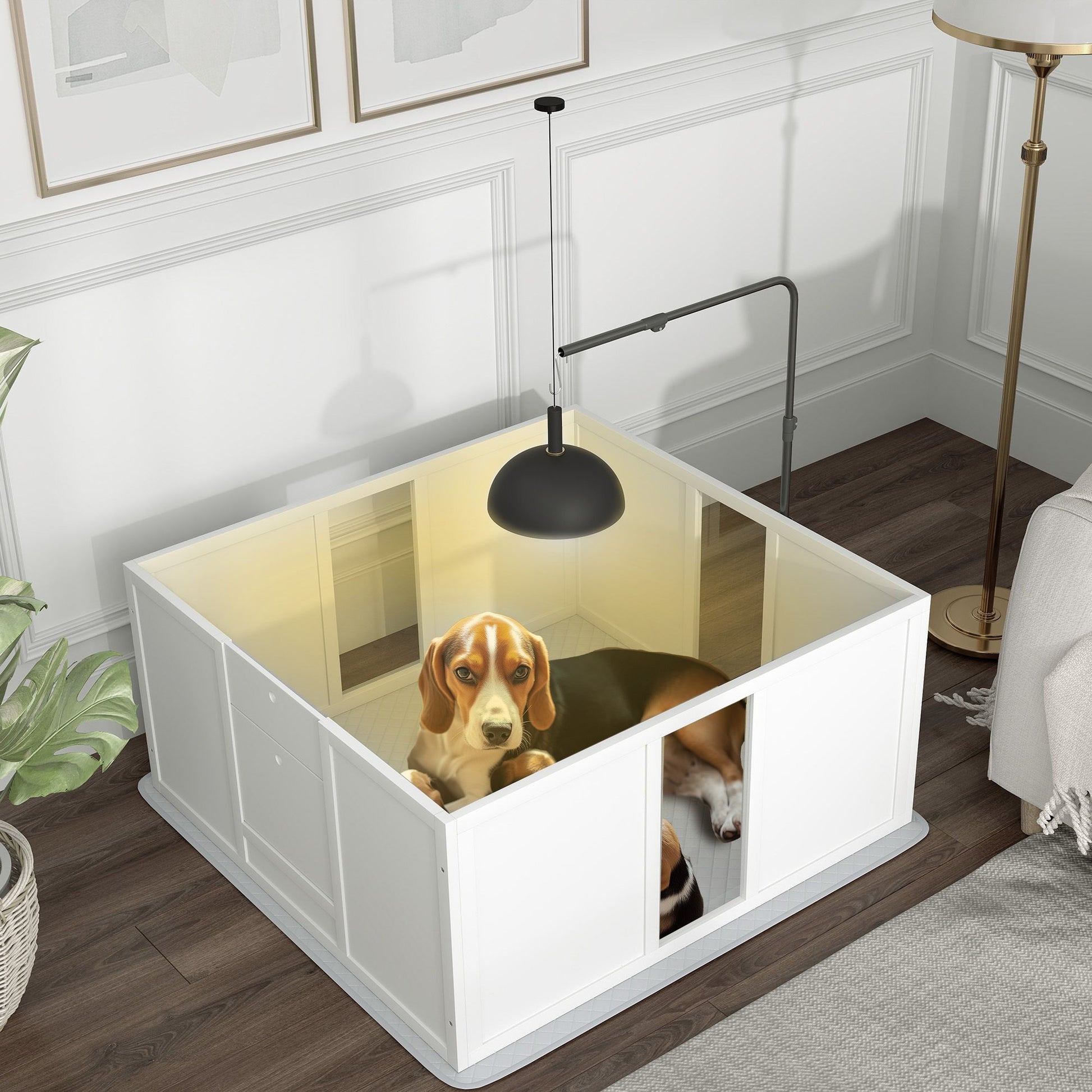 White whelping box for dogs with beagle inside on wooden floor in modern room