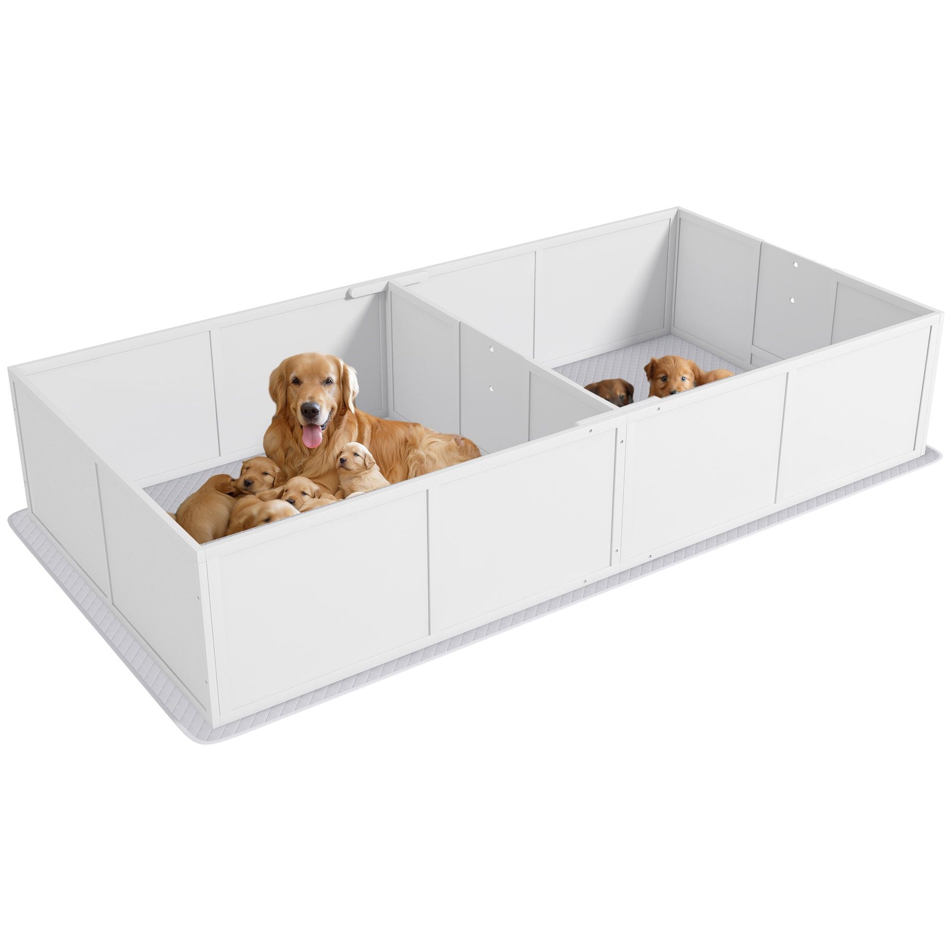 White whelping box for puppies with adult dog and several puppies inside by PawCounter.com