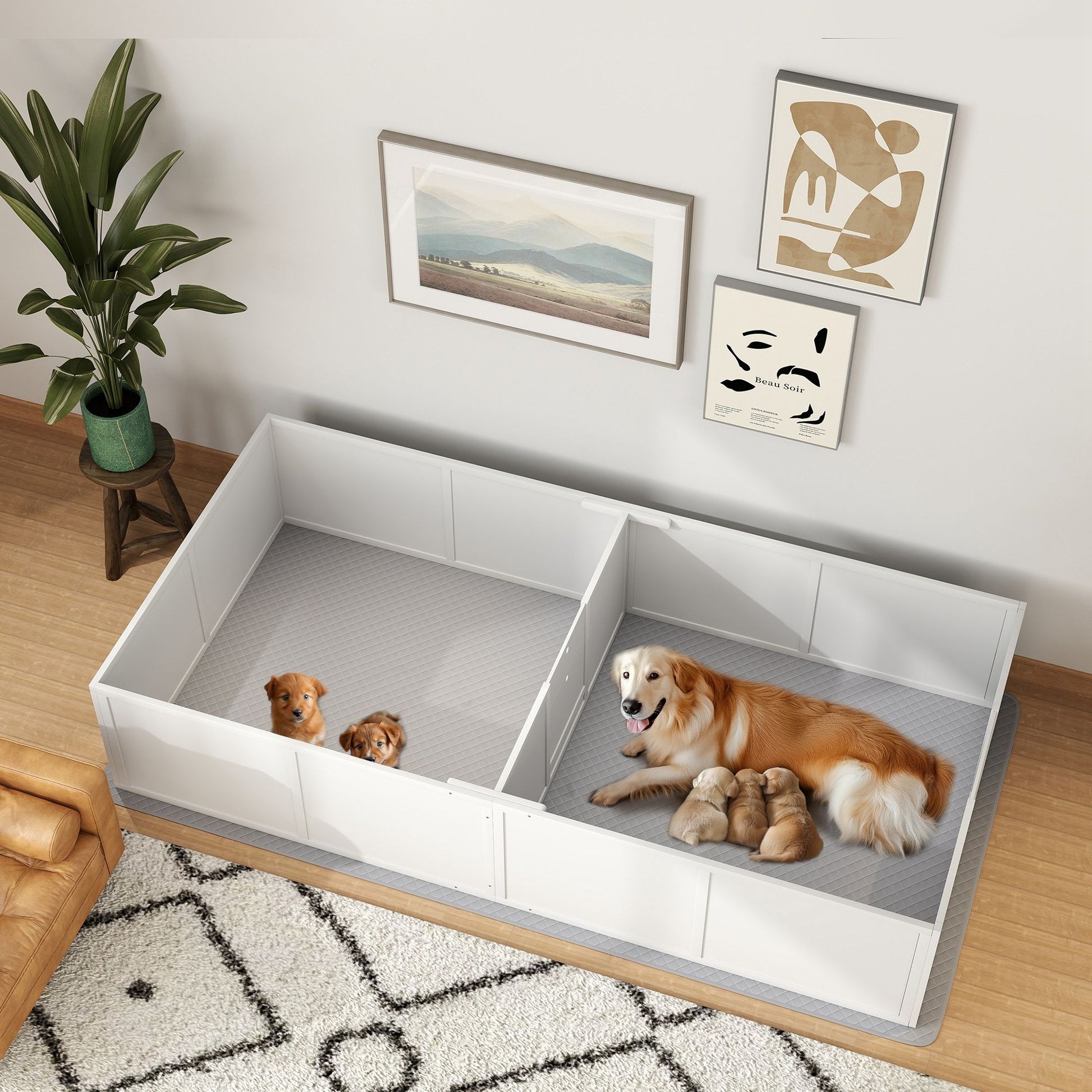 White whelping box for puppies with mother dog and puppies inside in a modern living room