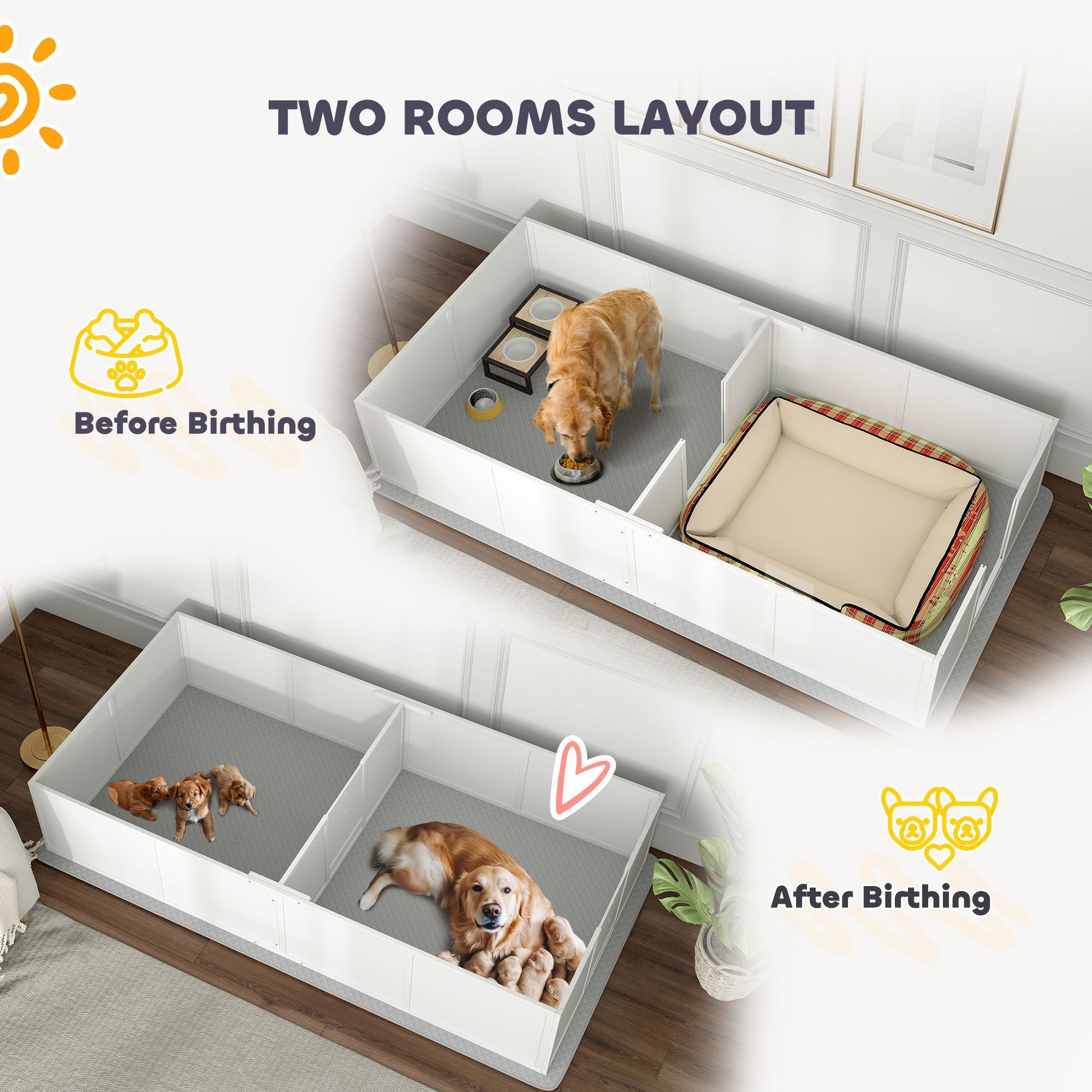 Two rooms layout of a whelping box for puppies showing separate areas before and after birthing with a dog and puppies
