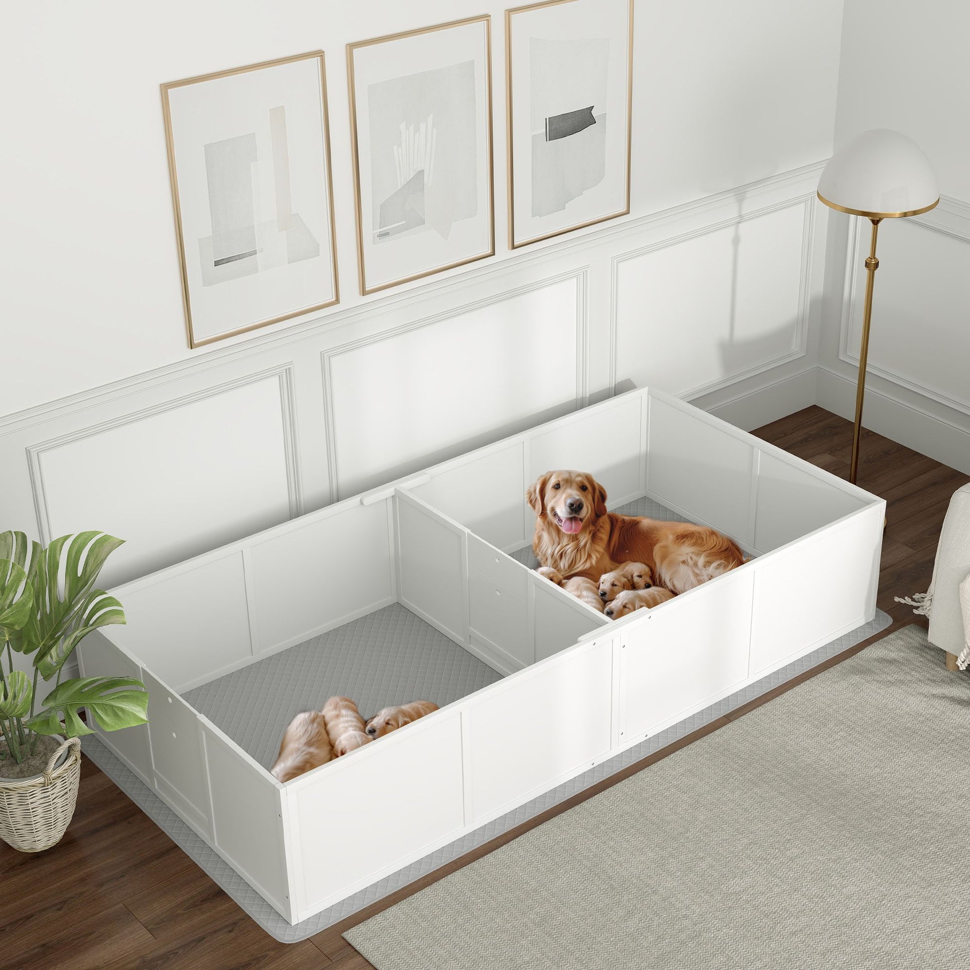 White whelping box for puppies with a golden retriever and newborn puppies inside in a modern living room