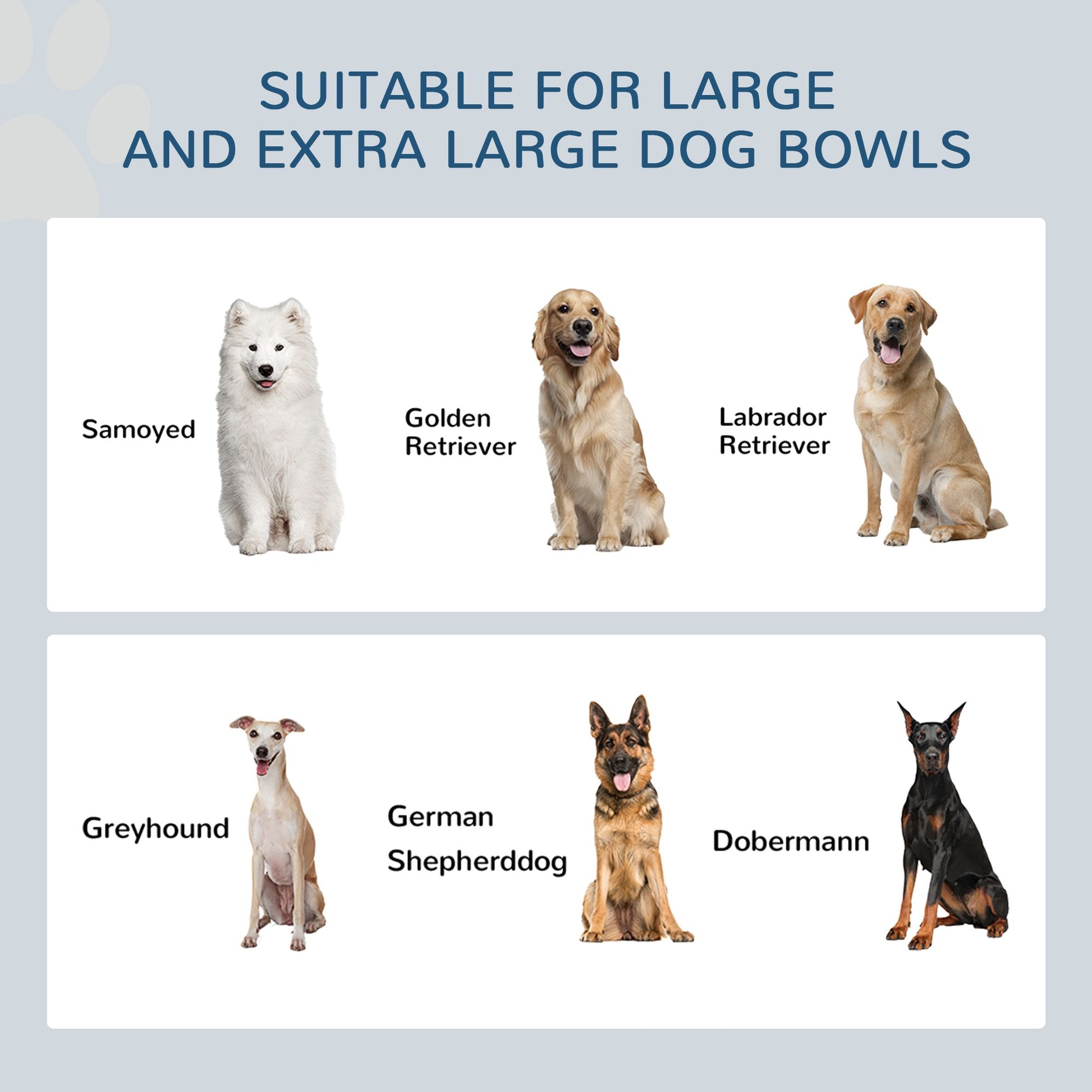Large dog breeds including Samoyed Golden Retriever Labrador Greyhound German Shepherd Dobermann for elevated dog bowls for large dogs