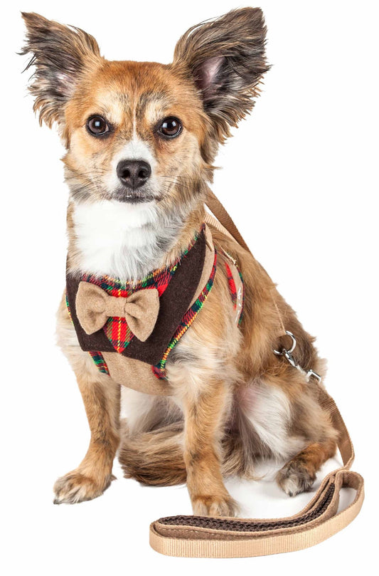 Small dog wearing a plaid dog harness with bowtie and matching leash sitting on white background